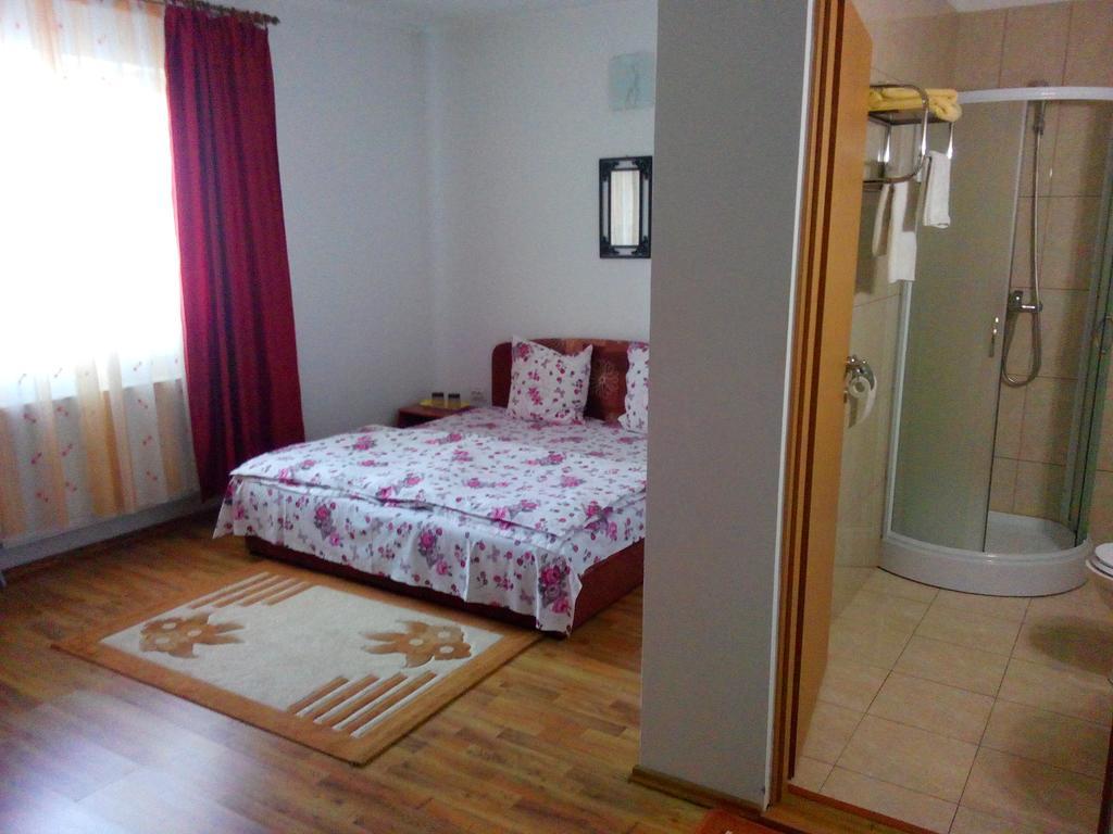 Pensiunea Vladut Timisoara Habitación foto