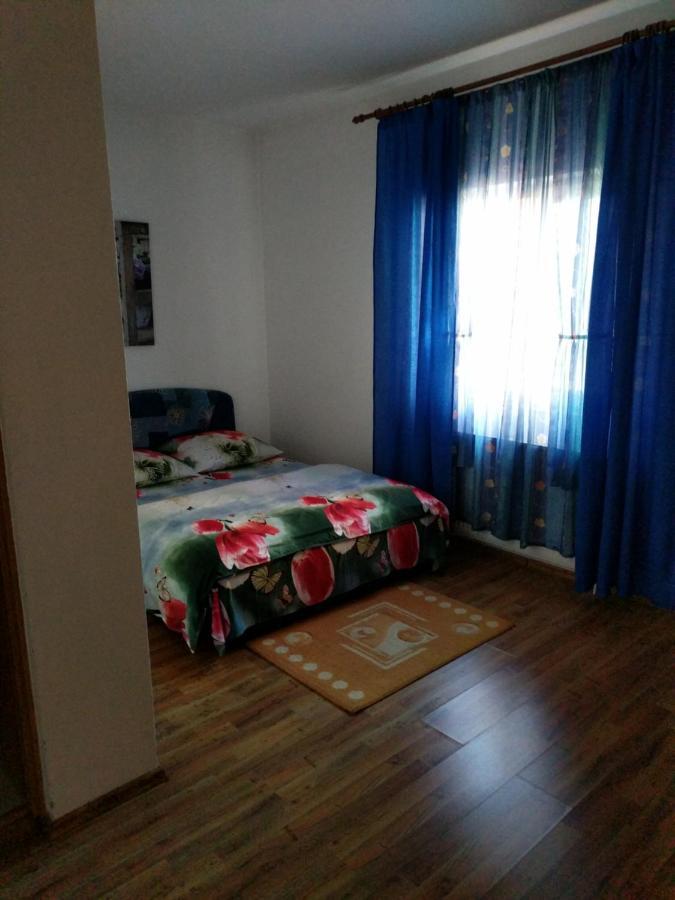 Pensiunea Vladut Timisoara Exterior foto
